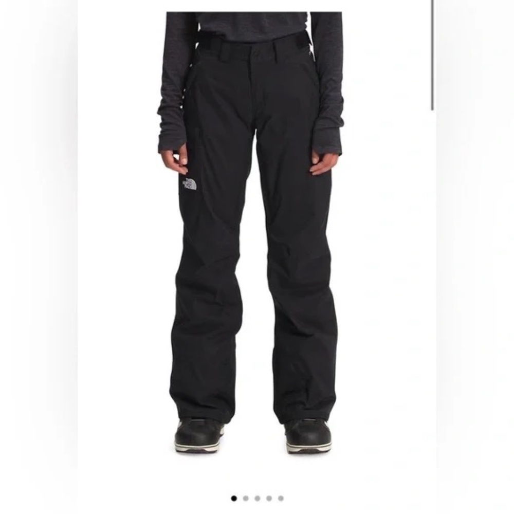 THE NORTH FACE HYVENT SKI PANTS, LARGE